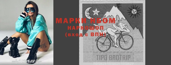 индика Ростов